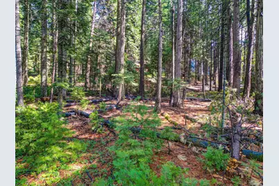 857 Hwy 4, Arnold, CA 95223 - Photo 9