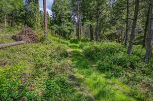 238 Cedar Dr, Hathaway Pines, CA 95233 - Photo 17