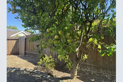 4117 Tahoe Vista Drive, Rocklin, CA 95765 - Photo 5