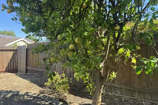 4117 Tahoe Vista Dr, Rocklin, CA 95765 - Photo 5