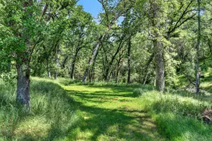 5681 Gold Leaf Ln, Placerville, CA 95667 - Photo 69