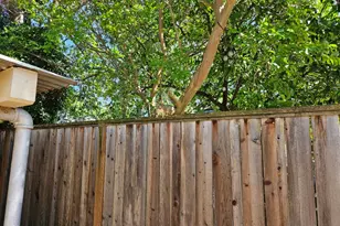 61 Victory Way, Woodland, CA 95695 - Photo 19