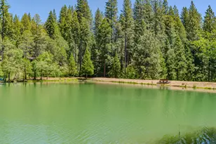 488 Mauna Kea Dr, Arnold, CA 05223 - Photo 81