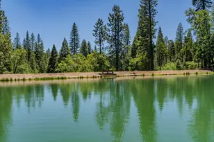 488 Mauna Kea Dr, Arnold, CA 05223 - Photo 81