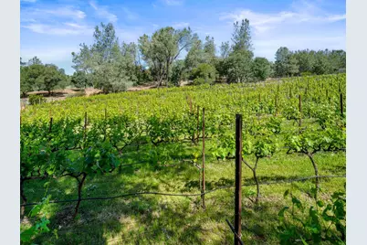 5080 Gold Hill Road, Placerville, CA 95667 - Photo 59
