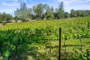 5080 Gold Hill Rd, Placerville, CA 95667 - Photo 59