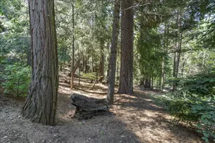 3086 Ridgecrest Way, Pollock Pines, CA 95726 - Photo 27