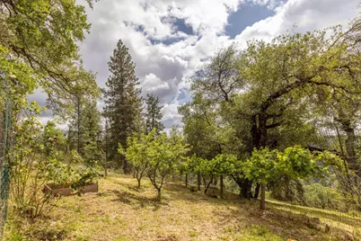 7410 White Oak Drive, Placerville, CA 95667 - Photo 69