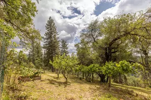 7410 White Oak Dr, Placerville, CA 95667 - Photo 69