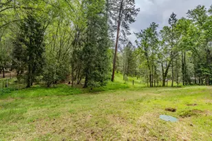 14500 Pine Grove Volcano Rd, Pine Grove, CA 95665 - Photo 17