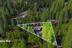 101 Lewis Ln, Sierra City, CA 96125 - Photo 23