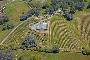 10721 Shenandoah Rd, Plymouth, CA 95669 - Photo 41