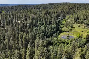 12638 Francis, Grass Valley, CA 95949 - Photo 57