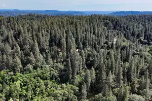 12638 Francis, Grass Valley, CA 95949 - Photo 59