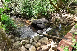 12638 Francis, Grass Valley, CA 95949 - Photo 3
