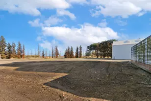 10050 State Hwy 113, Woodland, CA 95776 - Photo 7