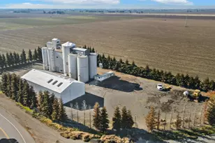 10050 State Hwy 113, Woodland, CA 95776 - Photo 1