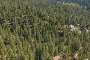 2105 George Ann Dr, Arnold, CA 95223 - Photo 49
