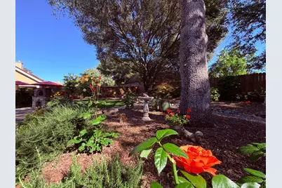 8754 Port Drive, Plymouth, CA 95669 - Photo 59