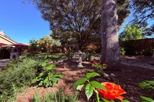 8754 Port Dr, Plymouth, CA 95669 - Photo 59
