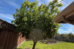1130 Breezewood Ct, Sunnyvale, CA 94089 - Photo 39