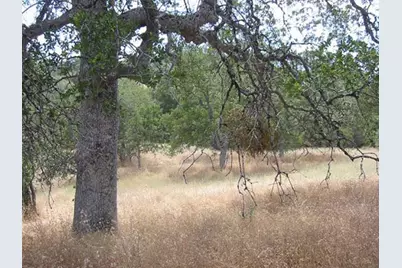 4195 Stumpfield Mt, Mariposa, CA 95338 - Photo 9
