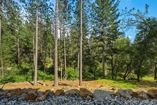 1455 Lodge View Dr, Meadow Vista, CA 95722 - Photo 65