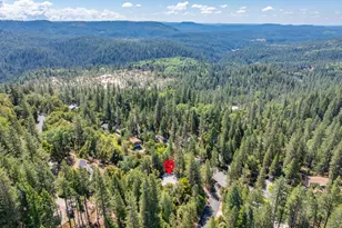 13155 Sargent-Jacobs Dr, Nevada City, CA 95959 - Photo 53