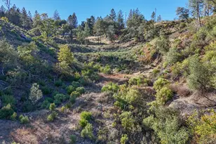 242 Montgomery Dr, Mokelumne Hill, CA 95245 - Photo 77