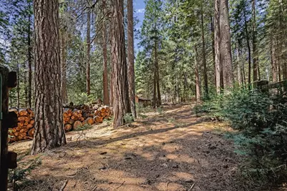 26860 Elmore Court, Pioneer, CA 95666 - Photo 33
