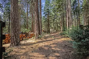 26860 Elmore Ct, Pioneer, CA 95666 - Photo 33