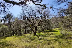 15255 Devon Ct, Auburn, CA 95603 - Photo 1