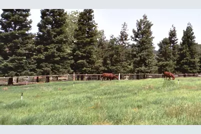 13587 Garden Bar Road, Grass Valley, CA 95949 - Photo 53