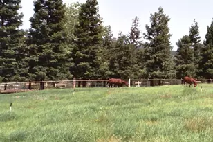 13587 Garden Bar Rd, Grass Valley, CA 95949 - Photo 53
