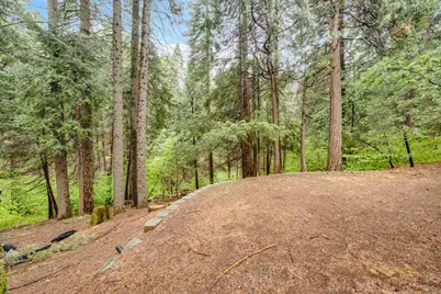 7184 Pine Cone Drive, Pollock Pines, CA 95726 - Photo 29