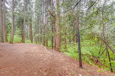 7184 Pine Cone Drive, Pollock Pines, CA 95726 - Photo 33