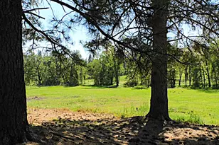 4360 Pleasant Valley Rd, Placerville, CA 95667 - Photo 73