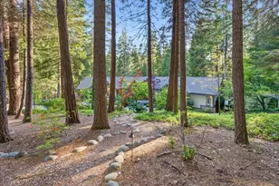 10433 Park Ave Ext, Nevada City, CA 95959 - Photo 55
