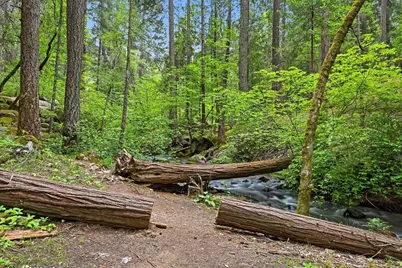 10433 Park Avenue Extension, Nevada City, CA 95959 - Photo 89