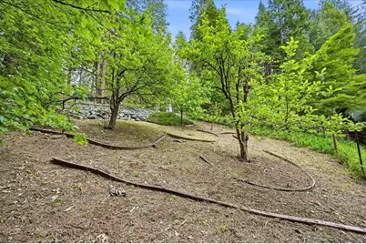 10433 Park Avenue Extension, Nevada City, CA 95959 - Photo 81