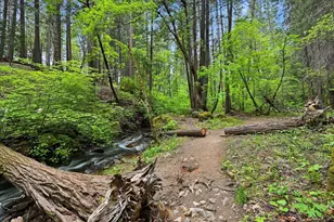 10433 Park Ave Ext, Nevada City, CA 95959 - Photo 77