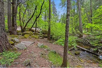 10433 Park Avenue Extension, Nevada City, CA 95959 - Photo 85