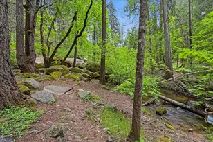 10433 Park Ave Ext, Nevada City, CA 95959 - Photo 85