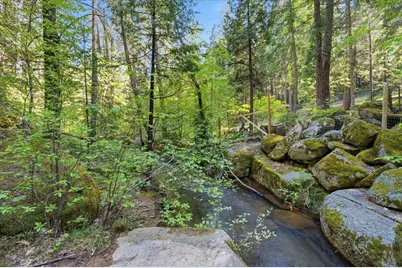 10433 Park Avenue Extension, Nevada City, CA 95959 - Photo 3