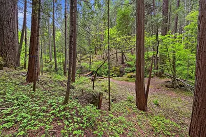 10433 Park Avenue Extension, Nevada City, CA 95959 - Photo 91