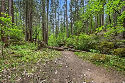 10433 Park Avenue Extension, Nevada City, CA 95959 - Photo 89