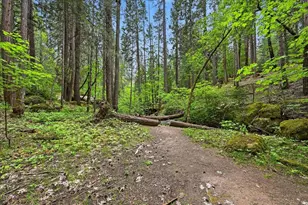 10433 Park Ave Ext, Nevada City, CA 95959 - Photo 89