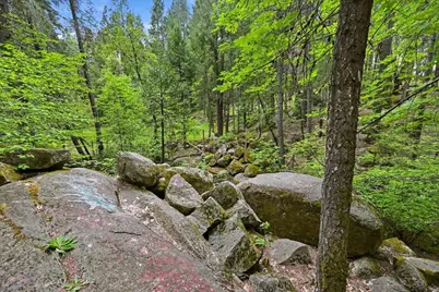 10433 Park Avenue Extension, Nevada City, CA 95959 - Photo 83
