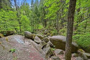 10433 Park Ave Ext, Nevada City, CA 95959 - Photo 83