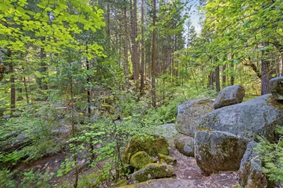10433 Park Avenue Extension, Nevada City, CA 95959 - Photo 67